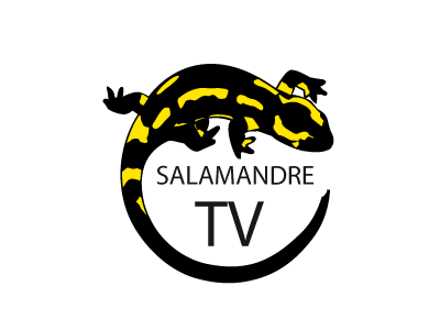 Salamandre TV