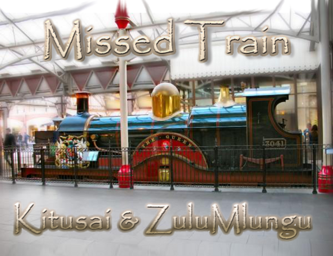 le train qu'a raté Zulu Mlungu...