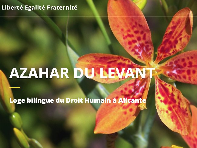 Azahar du Levant