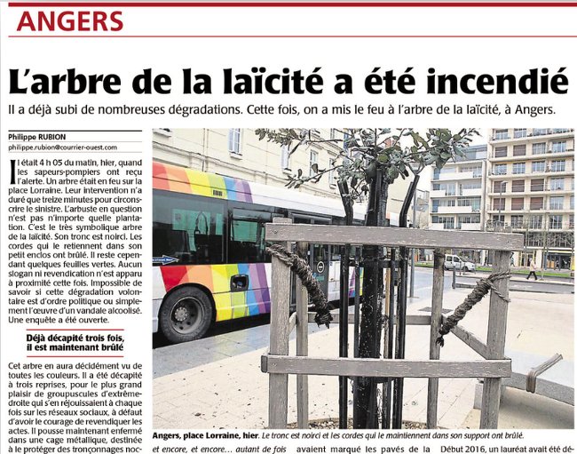 4e arbre laicite Angers