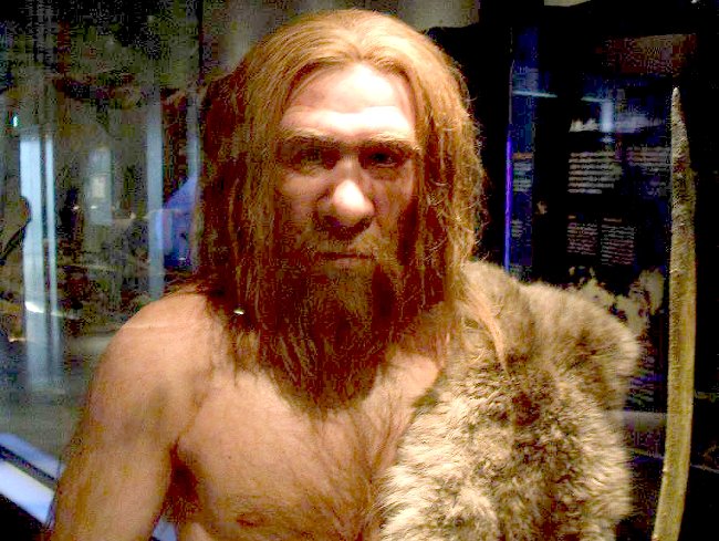 Neandertal