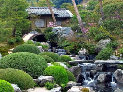Jardin japonnais H