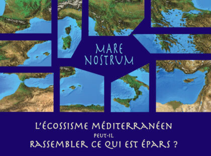 Ecossisme mediterraneen 240224