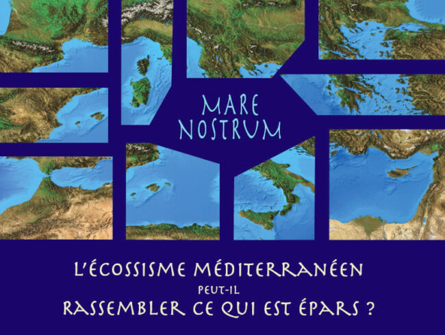 Ecossisme mediterraneen 240224