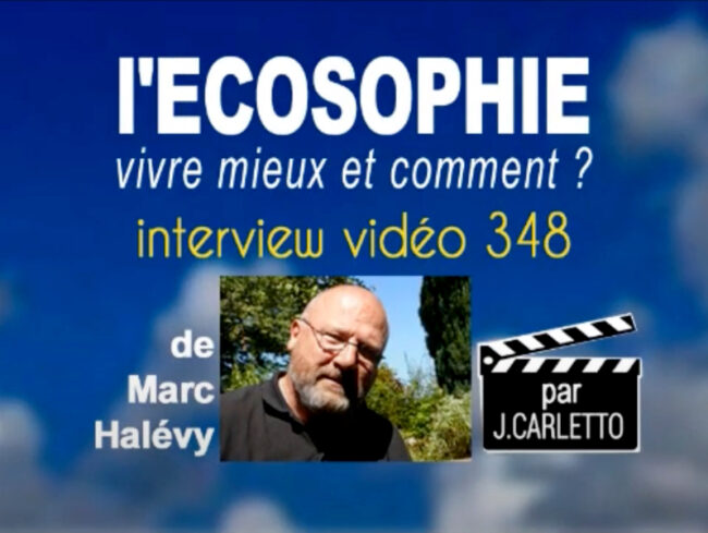 Carletto Halevy 348