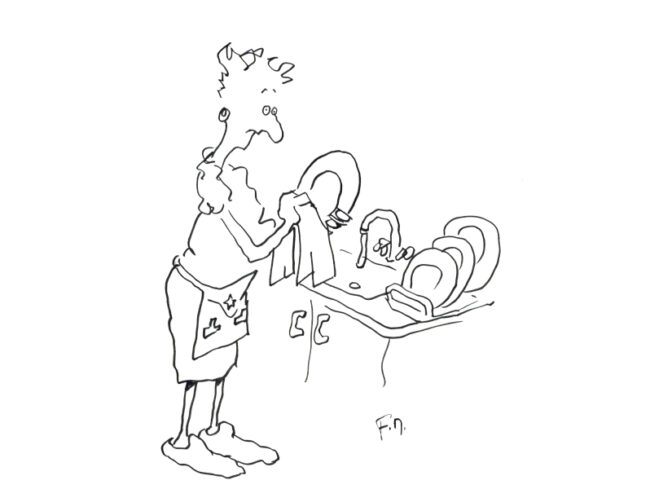 F Morel fait la vaisselle