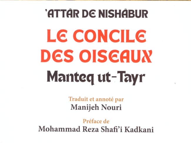 Concile oiseaux